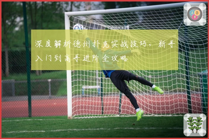 深度解析德州扑克实战技巧,新手入门到高手进阶全攻略