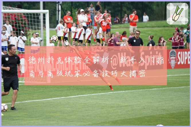 德州扑克体验全解析：新手入门指南与高级玩家必备技巧大揭密