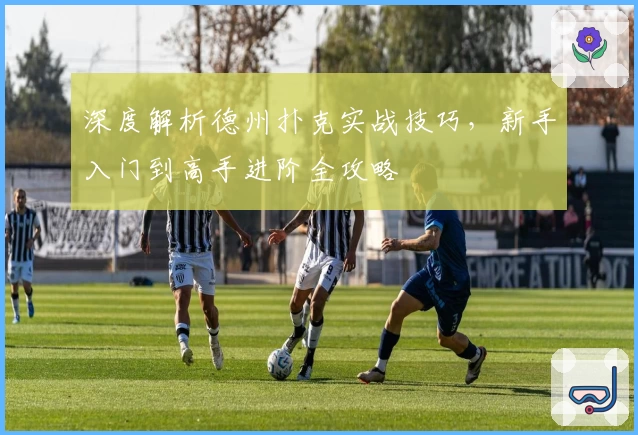 深度解析德州扑克实战技巧，新手入门到高手进阶全攻略