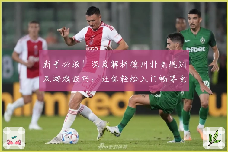 新手必读!深度解析德州扑克规则及游戏技巧,让你轻松入门畅享竞技体验