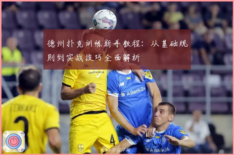 德州扑克训练新手教程：从基础规则到实战技巧全面解析