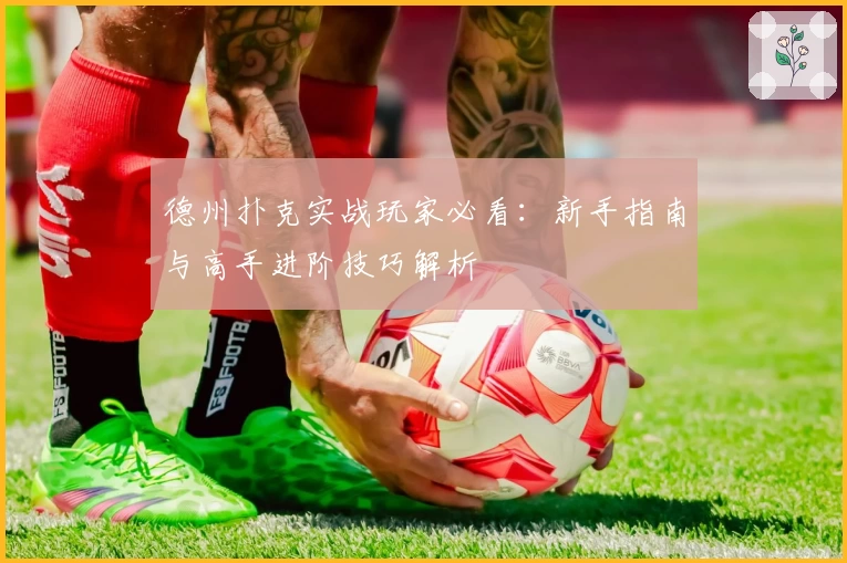 德州扑克实战玩家必看：新手指南与高手进阶技巧解析