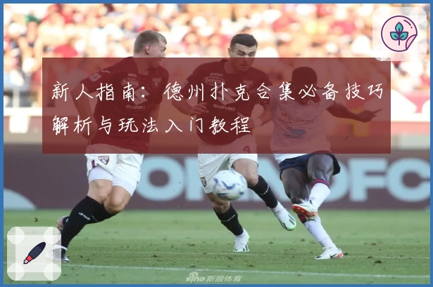 新人指南：德州扑克合集必备技巧解析与玩法入门教程