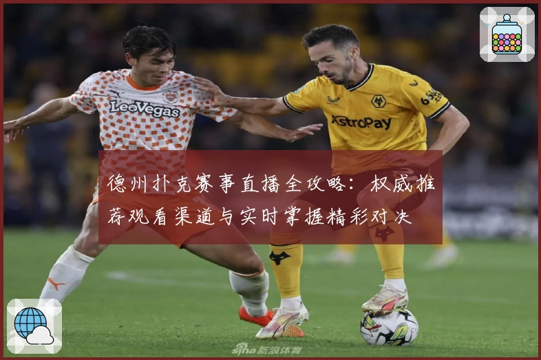 德州扑克赛事直播全攻略：权威推荐观看渠道与实时掌握精彩对决